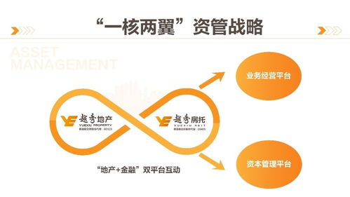 商業綜合體管理服務 構建高效運營與卓越體驗的橋梁